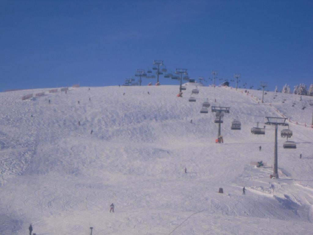 Landgasthaus Gemsennest Otel Feldberg  Dış mekan fotoğraf