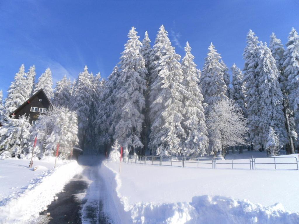 Landgasthaus Gemsennest Otel Feldberg  Dış mekan fotoğraf