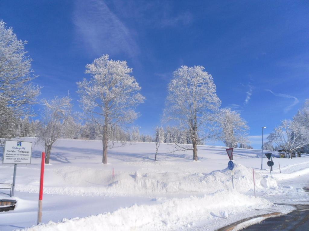 Landgasthaus Gemsennest Otel Feldberg  Dış mekan fotoğraf