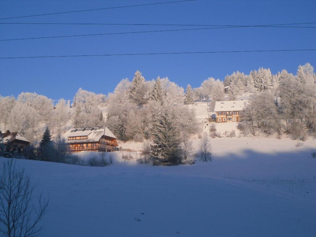 Landgasthaus Gemsennest Otel Feldberg  Dış mekan fotoğraf