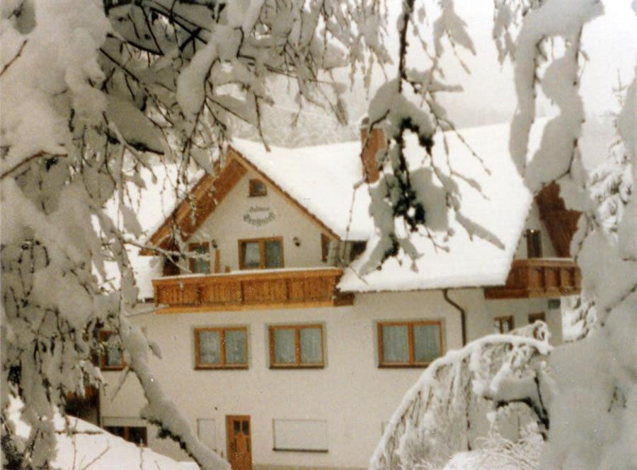 Landgasthaus Gemsennest Otel Feldberg  Dış mekan fotoğraf