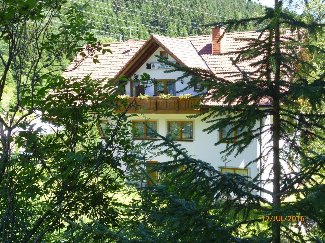 Landgasthaus Gemsennest Otel Feldberg  Dış mekan fotoğraf