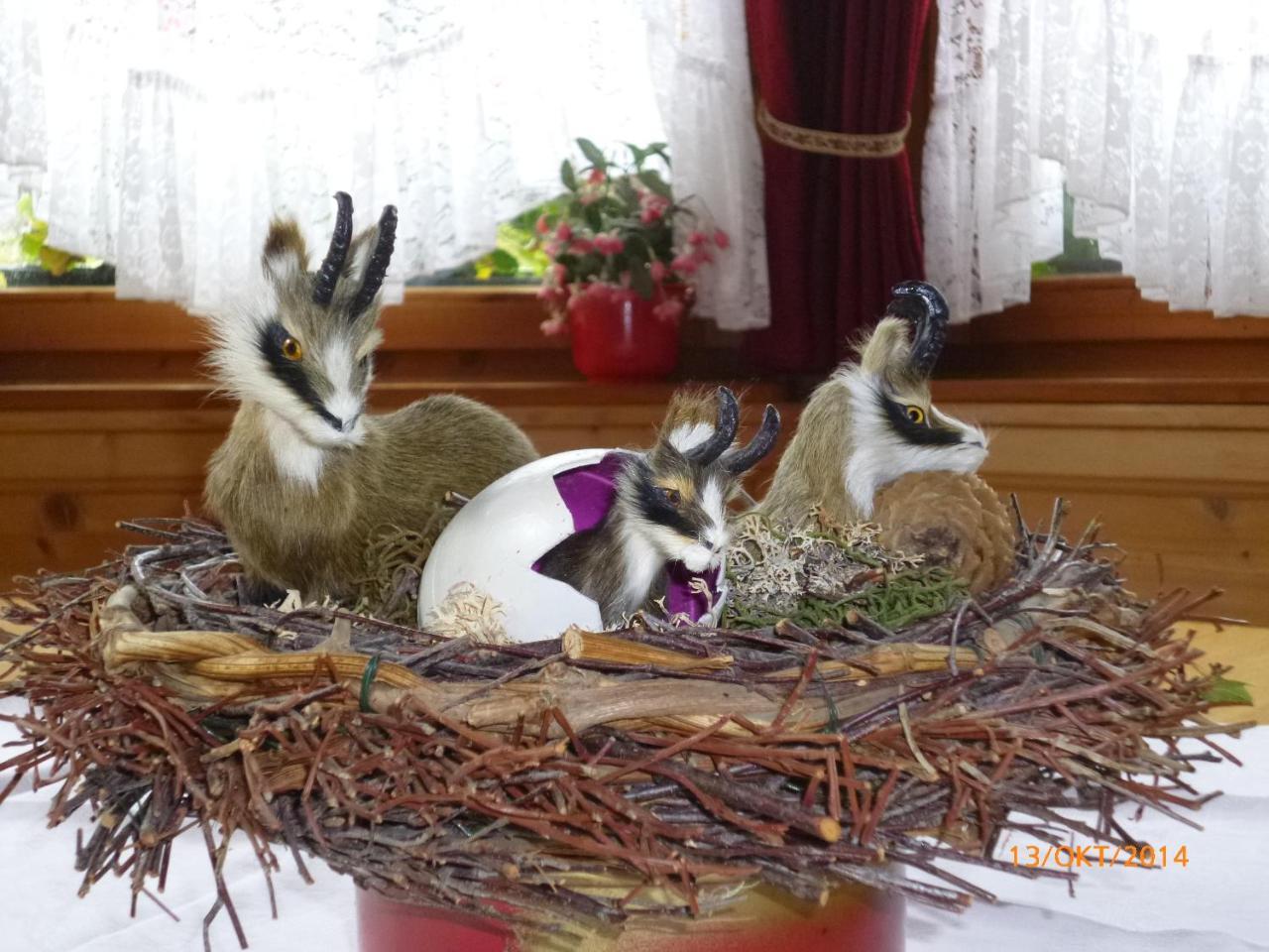 Landgasthaus Gemsennest Otel Feldberg  Dış mekan fotoğraf