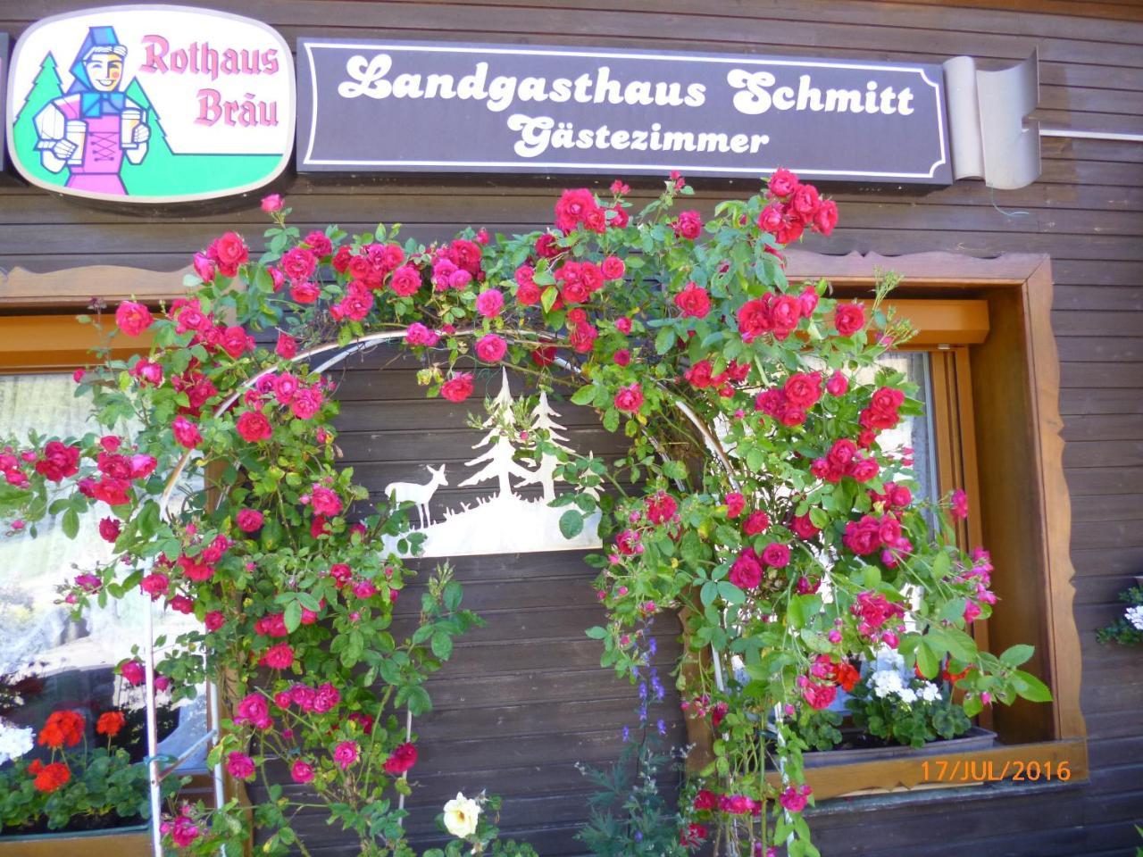 Landgasthaus Gemsennest Otel Feldberg  Dış mekan fotoğraf